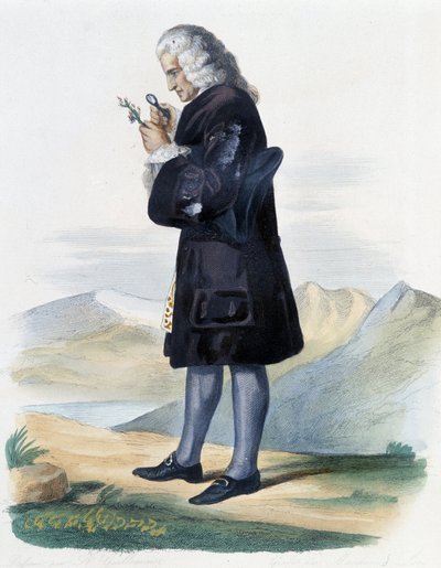 Bernard de Jussieu - in Ed. Mennechet, "Le Plutarque francais" door French School