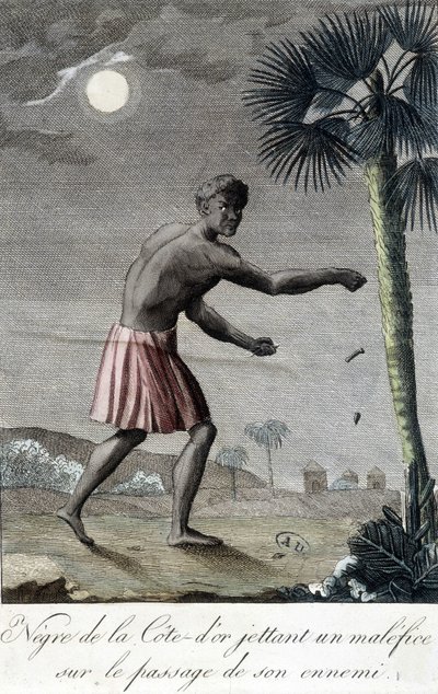 Zwarte van de Côte d