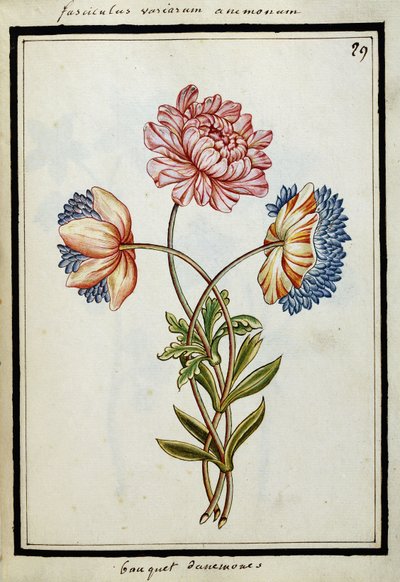 Boeket anemonen, c.1700 door French School