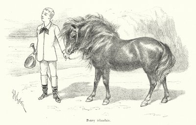 Jongen met een Iers pony (gravure) door French School