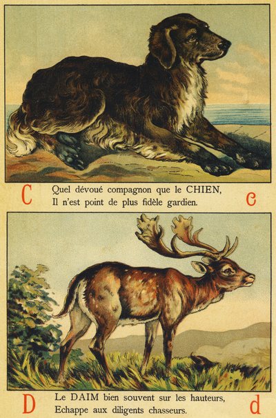 C als Hond en D als Suède door French School