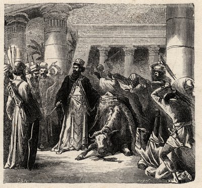 Cambyses II, heerser van de Achaemenidische Perzen doodt de Apis de Heilige Stier van de Egyptenaren - Cambyses of Cambyse II (530-522 v.Chr.) gravure uit 
