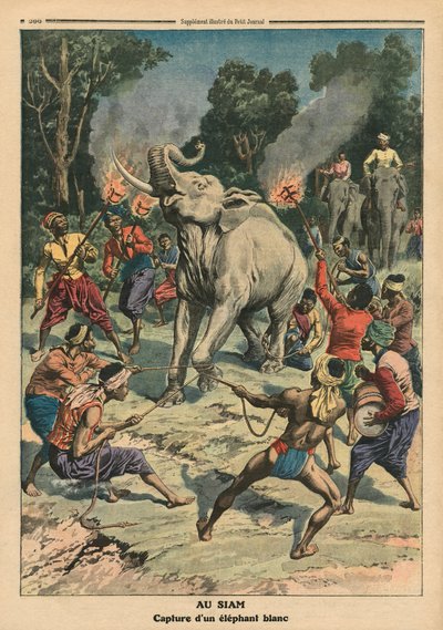 Het vangen van een witte olifant in Siam, illustratie uit 