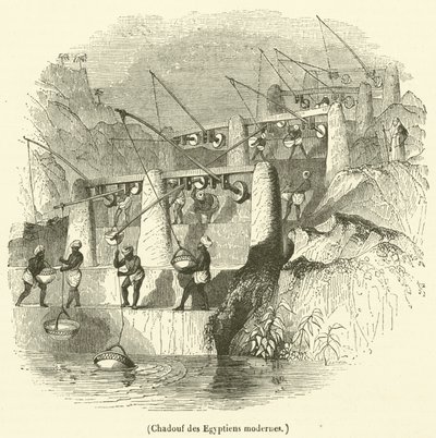 Shadoef van moderne Egyptenaren (gravure) door French School