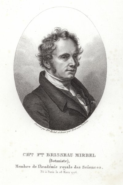 Charles-François Brisseau de Mirbel door French School