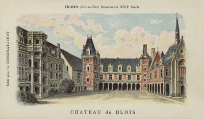 Kasteel van Blois, Blois, Loir-et-Cher door French School