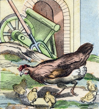 Kip en kuikens. Gravure in "Buffon Alphabet des Oiseaux n 2". 3e Serie N 2. Imaging of Epinal, Epinal, eind 19e eeuw. 16 pagina