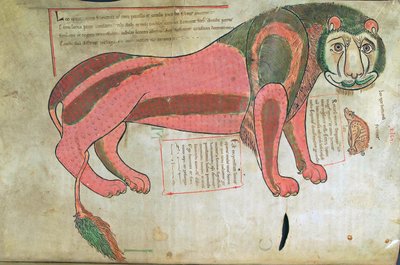 De Leeuw en het varken, uit Liber Floridus door Lambert de Saint-Omer ca. 1120 door French School