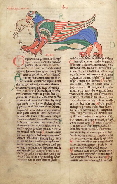 Een Griffioen die een man verslindt, uit Liber Floridus door Lambert de Saint-Omer ca. 1120 door French School