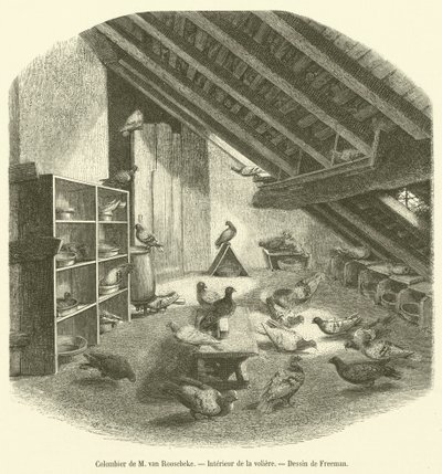 Colombier de M van Roosebeke, Interieur de la voliere door French School