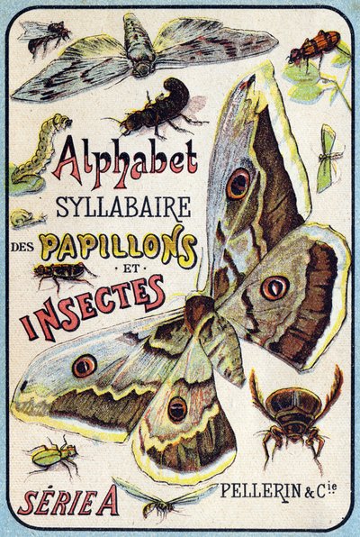 Omslag van "Syllabary alfabet van vlinders en insecten" door French School