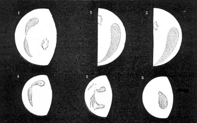 Donkere en heldere vlekken van Venus; 1, 2, 3, vlekken waargenomen door D. Cassini in 1667 en 1667; 4, 5, 6, vlekken waargenomen door M. Langdon in 1871 - in 