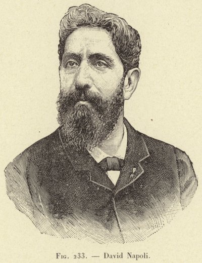 David Napoli door French School