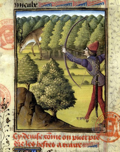 Hertenjacht - in 