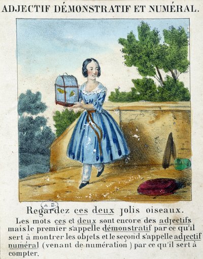 Demonstratief en numeriek adjectief (een meisje met een kooi met 2 vogels) - in "La grammaire en images" door French School
