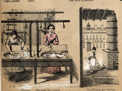 Beschrijving van de teelt en zijden producten: arbeiders die zijde spinnen, cocons verwijderen of verstikken. Plaat "la soie" in "les Recreations instructives" Synoptisch schilderij door Jules Delbruck, gravure uit 1860. Privécollectie. door French School