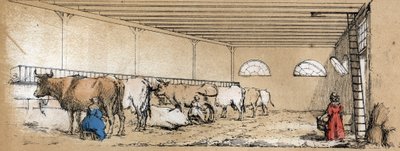 Beschrijving van de verschillende producten en toepassingen van de koe: melken en productie van koemelk, gezien vanuit een stal. Plaat 