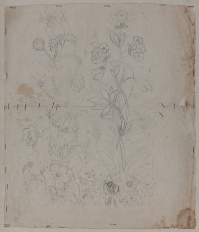 Ontwerptekening door French School