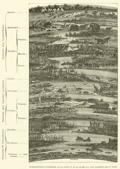 Progressieve ontwikkelingen van flora en fauna in opeenvolgende tijdperken van de aarde (gravure) door French School