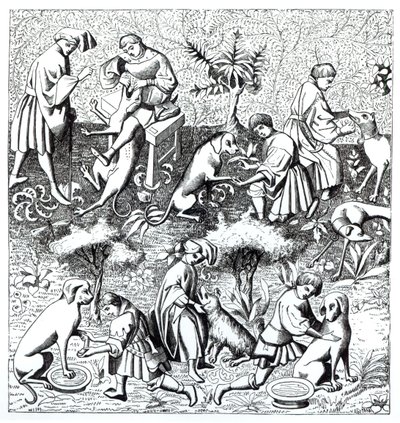 Ziekten van honden en hun genezing, naar een miniatuur in het manuscript van Gaston de Foix door French School