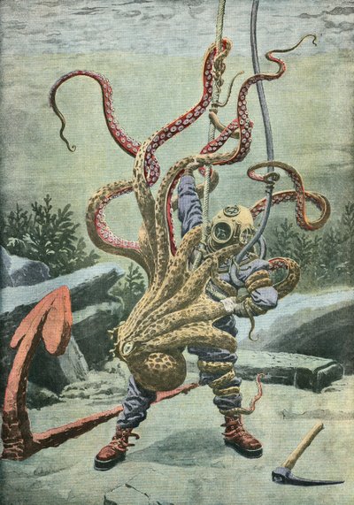 Duiker aangevallen door een octopus door French School