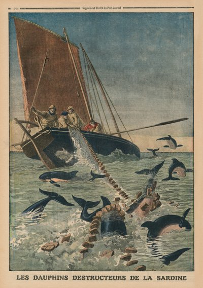 Dolfijnen vernietigen sardines, voorpagina illustratie uit 