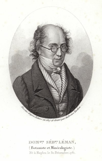 Dominique Sébastien Leman door French School