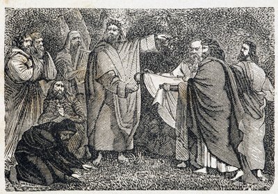 Druïden die maretak plukken - in 