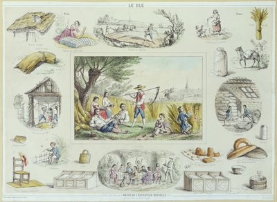 Educatieve illustratie van maïs, ca.1860-70 door French School