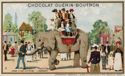Olifant, Jardin d
