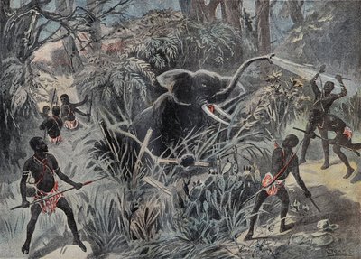Olifantenjacht in Afrika. De olifant valt in een kuil voordat hij met pijlen wordt afgemaakt. Gravure in 