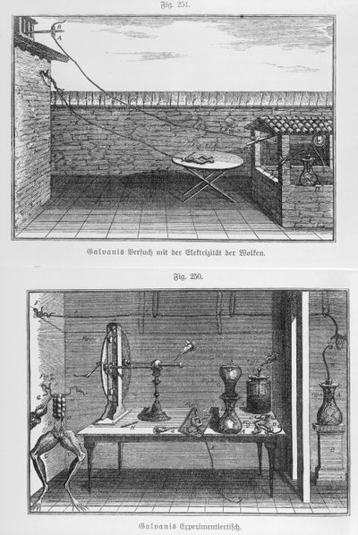 Experiment op kikkers door Louis Galvani (1737-98) eind 18e eeuw door French School
