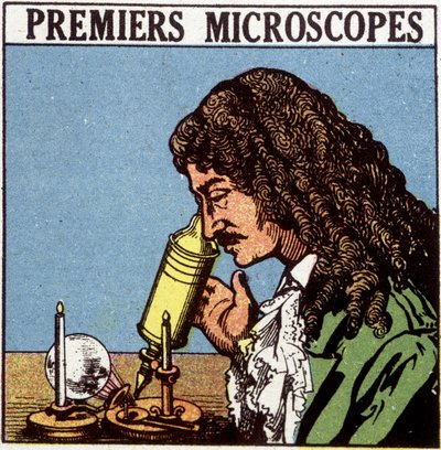 Eerste microscopen: Huygens door French School