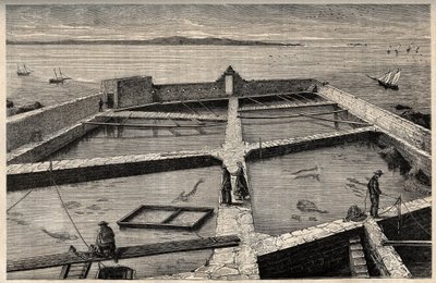 Visserij in Concarneau - Bretagne - Visserijbedrijf - Concarneau - Finistère - Bretagne - gravure in 