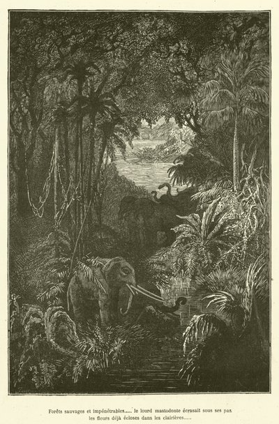 Wilde en ondoordringbare bossen... de zware mastodont verpletterde onder zijn stappen de bloemen die al in de open plekken bloeiden (gravure) door French School