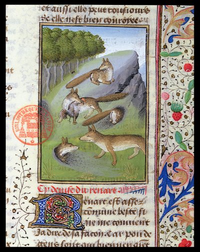 Vossen, uit het Livre de la Chasse door Gaston Phebus door French School