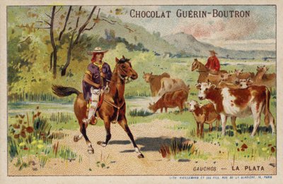 Gaucho