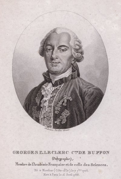 Georges-Louis Leclerc, Comte de Buffon, Franse wetenschapper en schrijver (gravure) door French School