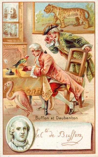 Georges-Louis Leclerc, Graaf de Buffon, en Louis-Jean-Marie Daubenton, Franse natuurkundigen door French School