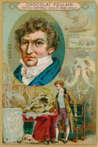 Georges Cuvier door French School