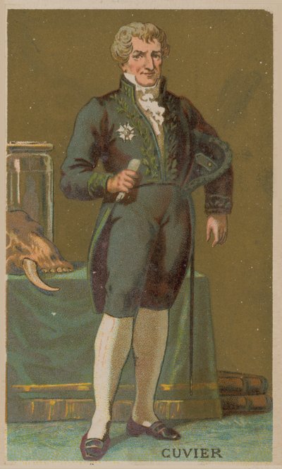 Georges Cuvier, Franse natuuronderzoeker en zoöloog (1769-1832) door French School