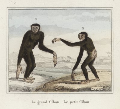 Gibbons door French School