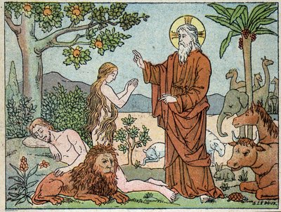 God: 6e dag van de schepping - in 