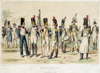 Grenadiers te voet van de Keizerlijke Garde van Napoleon I door French School