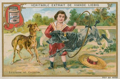 Windhond en Poedel door French School