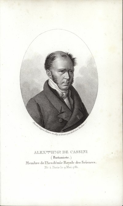Henri Cassini door French School