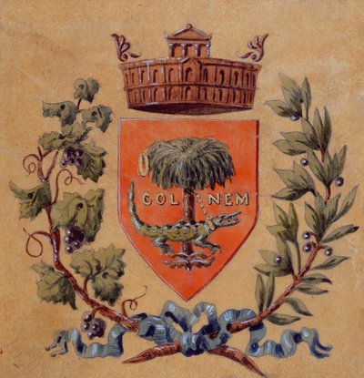 Heraldische wapens van de stad Nîmes door French School