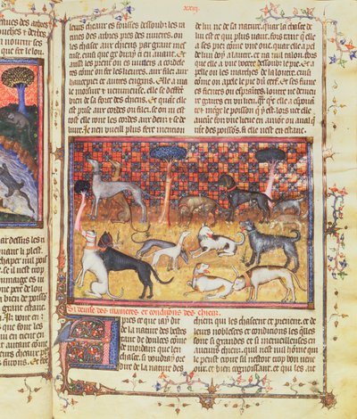 Jachthonden door Gaston III, Graaf van Foix Phebus le Chasseur (1331-91), uit Livre de la Chasse, 1387-89 door French School