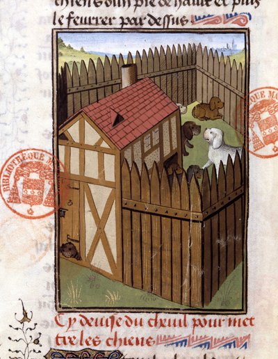 Jachthonden in een kennel - in 