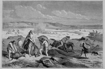 Jacht op guanaco (wilde lama) en nandou (of Patagonische struisvogel) in Argentinië - in Tour du Monde, 2e week 1861 door French School